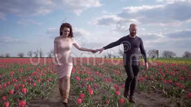 年轻的一家人抱着双手在蓝天上的粉红色郁金香草地上散步