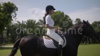 漂亮的女孩戴着头盔，穿着特殊的靴子骑马，华丽的螺柱，阳光明媚的一天，美丽的运动