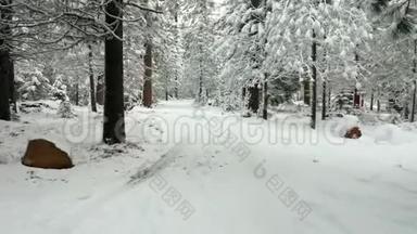 在森林里一条下雪的路上，沿着轮胎轨迹进行空中射击