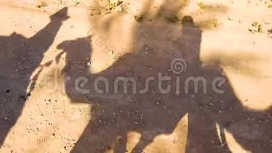 4K视频4骆驼和骆驼骑手穿过撒哈拉沙漠的轮廓。 骆驼商队穿过沙漠