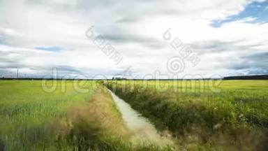 4K，绿色<strong>农田</strong>草甸中带有改良渠沟的乡村景观。 夏日多云的日子。