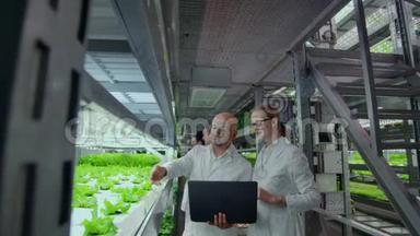 一组现代科学家生物技术科学家，穿着白色西装，用于加工有机水培蔬菜