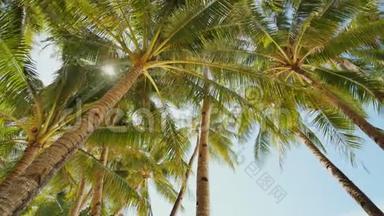 在晴朗的天气里，棕榈树在<strong>浅蓝</strong>色的天空的背景下。 菲律宾。