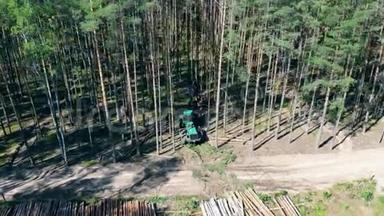 一辆拖拉机在森林里种树。 环境问题毁林，伐木..
