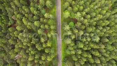 从上到下的鸟瞰用汽车飞越森林道路。 两边生长着<strong>绿树树林</strong>。 在森林里开车