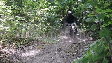 戴着头盔的戴着防护装备的人骑着极黑的Enduro在树木和树枝之间的森林小径上，带着树叶