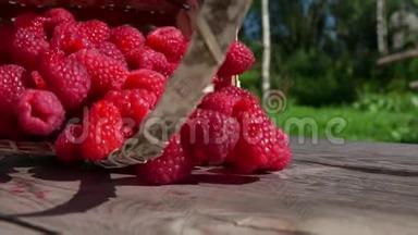 装满红树莓的篮子正落在桌子上