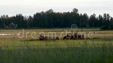 旧的<strong>锈迹</strong>斑斑的拖拉机坐在田野里，后面是森林