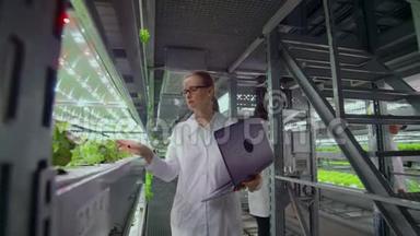 摄像机穿过一个现<strong>代金</strong>属农场的走廊，用来种植蔬菜和草药，一个科学家小组