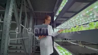 摄像机穿过一个现代金属农场的走廊，用来种植蔬菜和草药，一个科学家小组