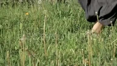 一个练习者在户外草地上`腿的特写。 在<strong>气功</strong>练习中赤脚穿越。 a的概念
