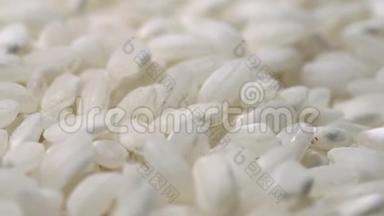 白米饭。 轮作的生粒