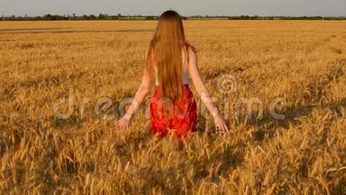 长发年轻女子走过田野，用手摸着麦子。 背面