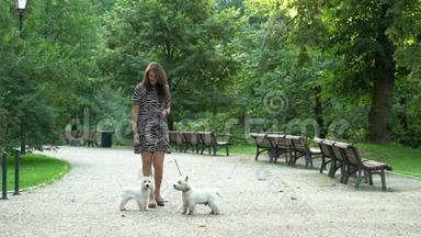 穿裙子的女模特在公园里和一<strong>对白</strong>色的小狗散步。 静态射击