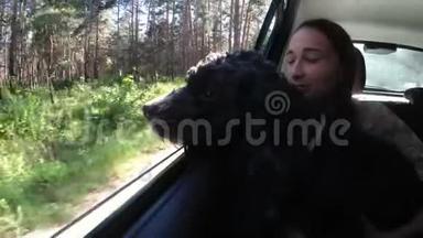 一只黑狗<strong>看着</strong>车<strong>窗外</strong>走进森林，坐在孩子`车后座上的膝盖上。 关闭