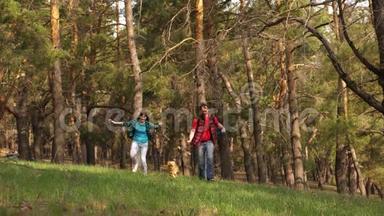一家人和狗在树林里旅行。 幸福的夫妇和奥巴克一起穿过树林。 旅行者爸爸，女儿，宠物