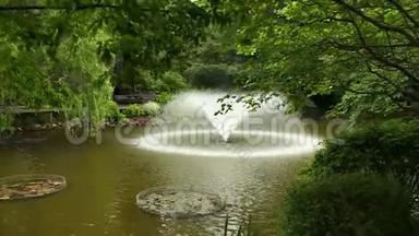 美丽的喷泉从植物园的湖水中摇动，