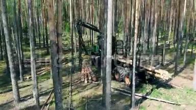 工业收割机正在装载砍伐的树林。 森林，林木采伐，鸟瞰..