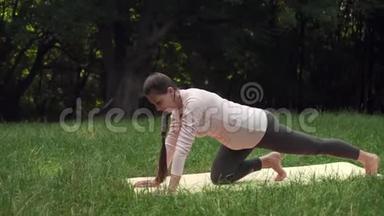 孕妇在公园的地毯上做瑜伽，单膝站立，做<strong>小腿肌肉</strong>伸展。