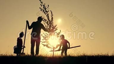 农民的幸福家庭.. 一位父亲和两个孩子在日落时在公园里种树和浇<strong>水</strong>的<strong>剪影</strong>。