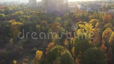 美丽的秋天城市公园和植物园，背景是高楼大厦。 城市的五彩落叶树