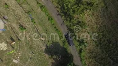 在热带岛屿的公路上行驶的黑色汽车的俯视图，棕榈树