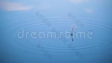 在钓鱼的时候，在水中为钓竿的浮子近距离观察。 一个漂浮在蓝色的水中。