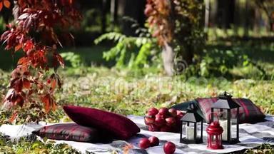 秋天的花园。 在石凳上，有一条毯子，一个枕头，一篮子苹果和一顶带有橡胶靴的勃艮第帽