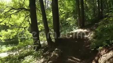 运动员在森林里骑山地自行车。 骑山地自行车的自行车