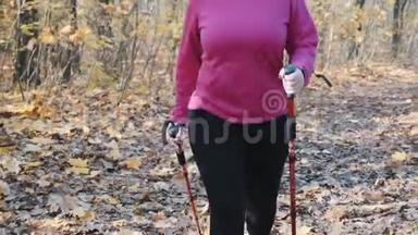 北欧式步行。 秋红、黄公园里胖女人与北欧人散步的娱乐活动