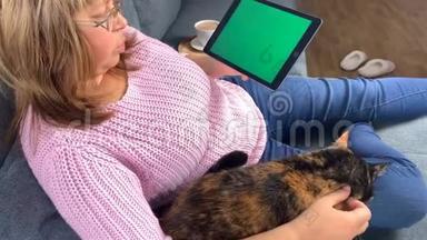 在房间的沙发上，一个女人坐在一件粉红色的套衫里，拿着一块空白绿色屏幕的平板电脑，抚摸着一只猫，舒适的家