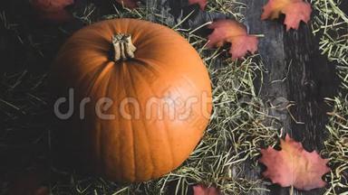 乡村装饰的橙色大南瓜，在乡村的木制背景下，乡村树叶作为感恩节假日装饰