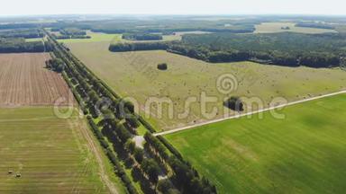 夏天结束时的俄罗斯田野。 割<strong>麦子</strong>，种田。 空中观景。