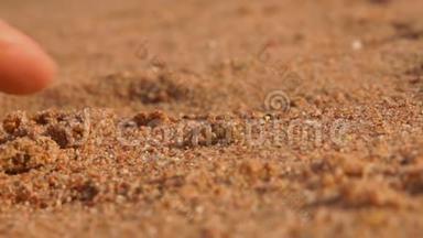 小螃蟹在沙子里跑掉了