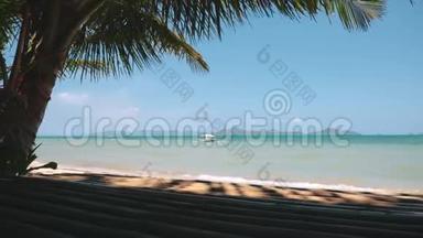 菲律宾热带海滩景色椰子棕榈树
