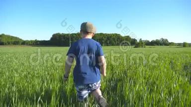 跟着快乐的男孩在阳光明媚的热天用绿色的小麦穿过田野。 戴帽子慢跑的<strong>免费儿童</strong>