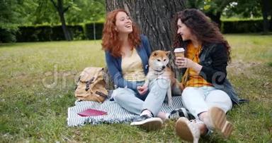 美丽的姐妹们在公园的草坪上说着抚摸狗，享受夏天
