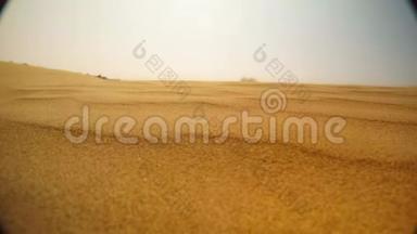 风在沙丘中缓慢地移动沙粒，它在阳光下闪耀，沙漠靠近拉贾斯坦邦