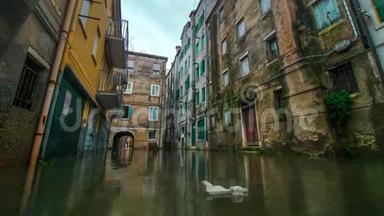 小威尼斯，奇戈贾城，水很高