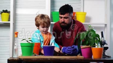 可爱的孩子帮助他的父亲照顾植物。 父亲和儿子在后院从事园艺工作。 春天