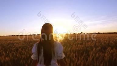 快乐的孩子在田野里散步。 快乐的女孩带着黄色的小麦走过田野，用手摸着麦穗