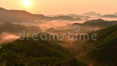 塔屯音丁山。 日出时的雾状晨景。 风景秀丽的群山，郁郁葱葱的绿色综合体