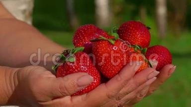手里拿着美味的鲜红色草莓