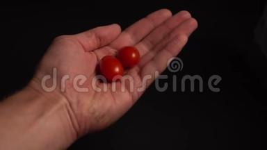 成熟的红樱桃西红柿落入男人`手中