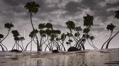 暴风棕榈树海洋