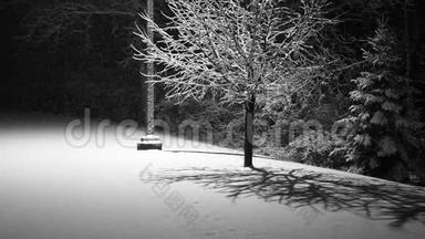 <strong>夜晚</strong>降雪，<strong>树</strong>上有背光，地面上有新雪。 圣诞场景。