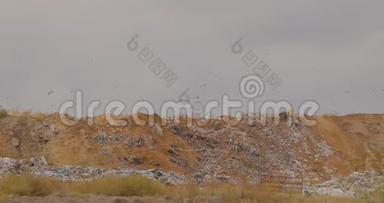 灰蒙蒙的天空背景下，一个垃圾填埋场里有飞鸟、鸟的压抑式垃圾场