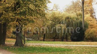 在慕尼黑的英国花园里锁定了秋天树的<strong>实时</strong>拍摄。 慕尼黑的英国花园是其中之一