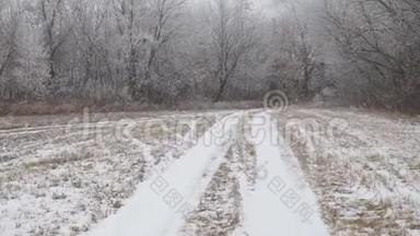照相机在积雪的<strong>乡间</strong>小路上滑动。在雪林<strong>小道</strong>上行走的视角