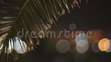 在城市海滩夜晚眩目的背景下特写棕榈叶。 安静的晚安，带着一点风。 绿色